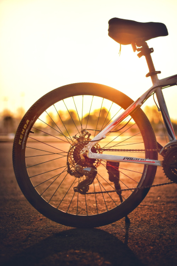 White Mountain Bike White Mountain Bike