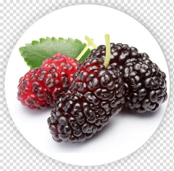 White mulberry Extract Ingredient Food Fruit, mulberry transparent background PNG clipart