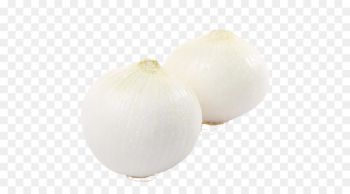 White onion Vegetable - White onion vegetables White onion Vegetable - White onion vegetables