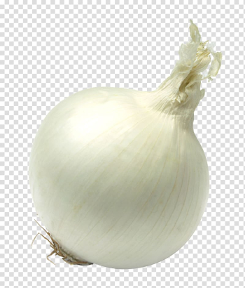White onion, Yellow onion Garlic Vegetable White onion, An onion transparent background PNG clipart