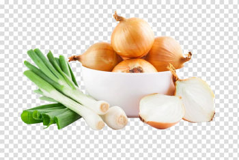 White onions , Potato onion Vegetable Red onion Scallion, Onion and green onion transparent background PNG clipart