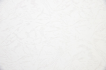 White paper texture White paper texture