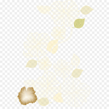 White Pattern - Flowers pattern White Pattern - Flowers pattern