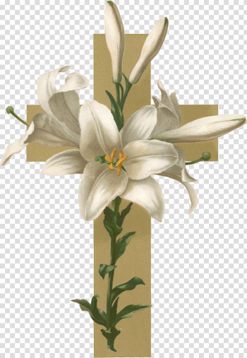 White petaled flower , Easter lily Christian cross Flower Funeral , lily transparent background PNG clipart