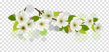 White petaled flowers , Flower Euclidean White Banner, flowers transparent background PNG clipart