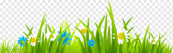 white petaled flowers with green grass digital art, Free content Website, Animated Grass s, presentation, computer Wallpaper, lawn png