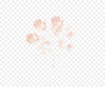 white pink flower beige plant white pink flower beige plant