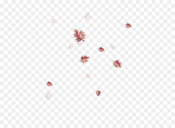 white pink red line leaf white pink red line leaf