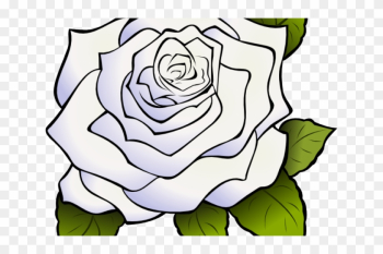 White Rose Clipart Animated - Draw A Big Rose White Rose Clipart Animated - Draw A Big Rose