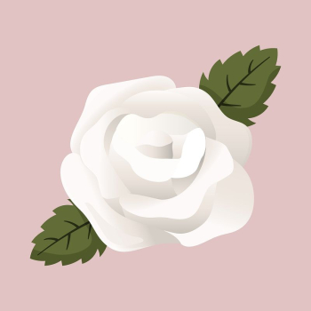 White rose collage element, cute | Free Vector Illustration - rawpixel White rose collage element, cute | Free Vector Illustration - rawpixel