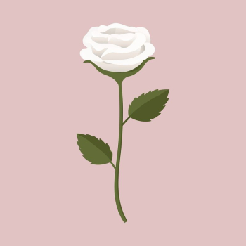 White rose collage element, cute | Free Vector Illustration - rawpixel White rose collage element, cute | Free Vector Illustration - rawpixel