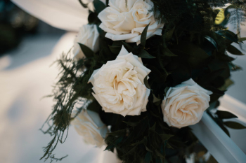 White Rose Flowers Bouquet White Rose Flowers Bouquet