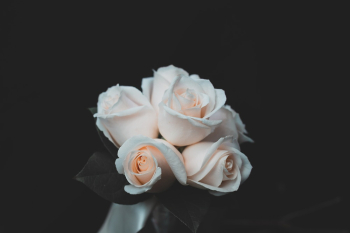 White Rose Flowers Bouquet White Rose Flowers Bouquet