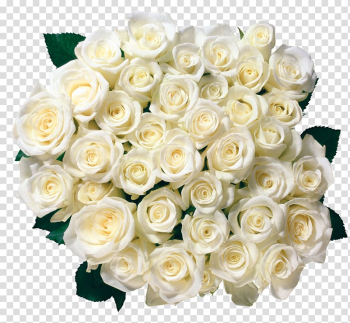 White roses bouquet illustration, Garden roses Flower bouquet , Whire Roses transparent background PNG clipart