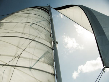 white sail boat white sail boat