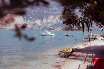 White Sail Boat on the Water White Sail Boat on the Water
