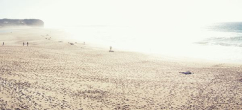 white sand beach photo white sand beach photo