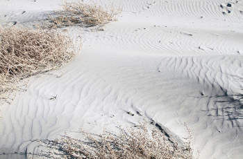 White sand texture. Free public | Free Photo - rawpixel White sand texture. Free public | Free Photo - rawpixel