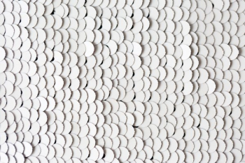 White Sequins White Sequins