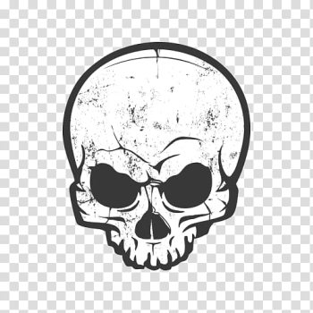 White skull elements transparent background PNG clipart