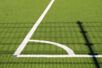 white sports lined white sports lined