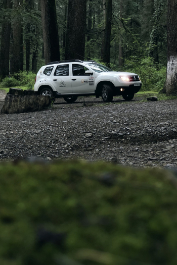 White Suv Near Trees White Suv Near Trees