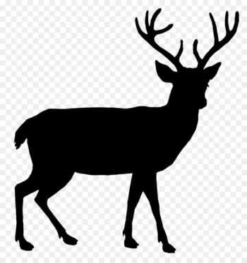 White-tailed deer Reindeer Red deer Elk - Reindeer Silhouette Cliparts 