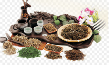 White tea Green tea Iced tea Bai Mudan - Tea tea White tea Green tea Iced tea Bai Mudan - Tea tea