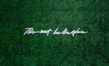 White Text White Text