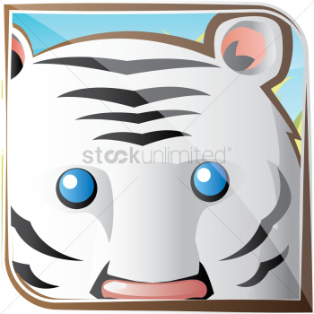 White tiger White tiger