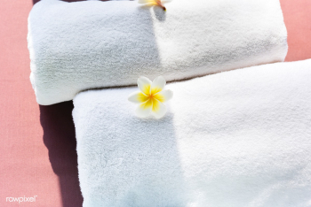 White towels decorated with plumeria flowers | Free stock photo - 429323 White towels decorated with plumeria flowers | Free stock photo - 429323