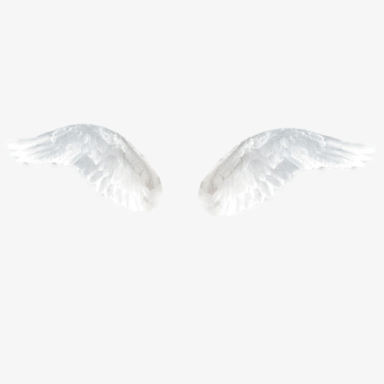 White Transparent Wings, Product Kind, White, Angel PNG ...