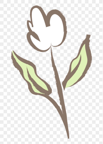 White tulip flower png sticker, | Free PNG Illustration - rawpixel