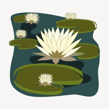 White water lilies collage element, | Free PSD - rawpixel White water lilies collage element, | Free PSD - rawpixel