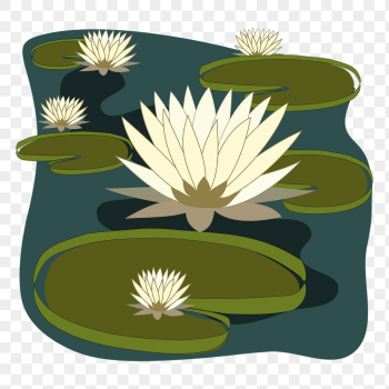 White water lilies png sticker, | Free PNG - rawpixel