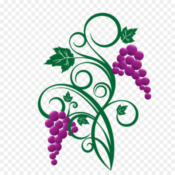 White wine Grape leaves Vector graphics - cartoon grape White wine Grape leaves Vector graphics - cartoon grape