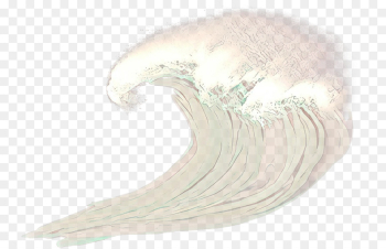 white wing white wing