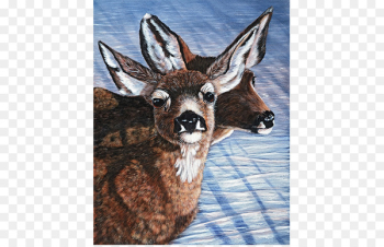 Whitetailed Deer, Deer, Moschus, Vertebrate, Mammal PNG Whitetailed Deer, Deer, Moschus, Vertebrate, Mammal PNG