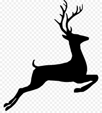 Whitetailed Deer, Reindeer, Deer, Mammal PNG