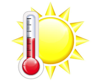 Who Needs Climate Controlled Storage? - Total Storage Solutions