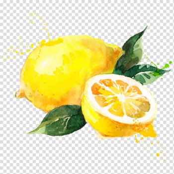 Whole and slice lemon, Watercolor painting Lemon Drawing, iphone 6 transparent background PNG clipart