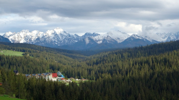 Wide Angle Photography of Buildings Surrounded by Pine Trees Wide Angle Photography of Buildings Surrounded by Pine Trees