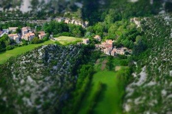 Wide Angle Photography of Houses Surrounded With Trees Wide Angle Photography of Houses Surrounded With Trees