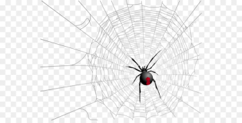Widow spiders Insect Symmetry Pattern - Halloween spider web spider 