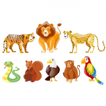 Wild animals collection Wild animals collection