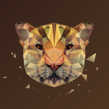 Wild cat Wild cat