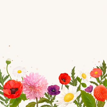 Wild flower frame | Free stock vector - 562778 Wild flower frame | Free stock vector - 562778