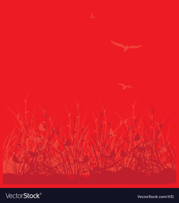 Wild flower garden vector image Wild flower garden vector image