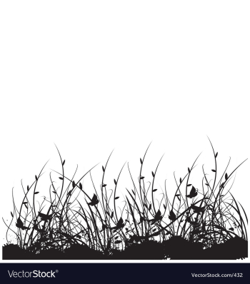 Wild flower garden vector image Wild flower garden vector image