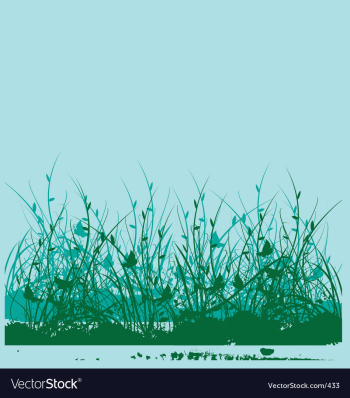 Wild flower garden vector image Wild flower garden vector image